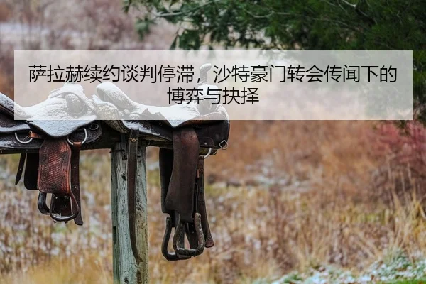 萨拉赫续约谈判停滞，沙特豪门转会传闻下的博弈与抉择