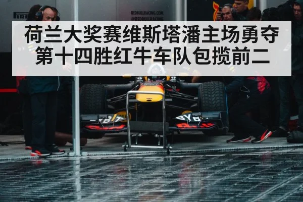 Red Bull racing team