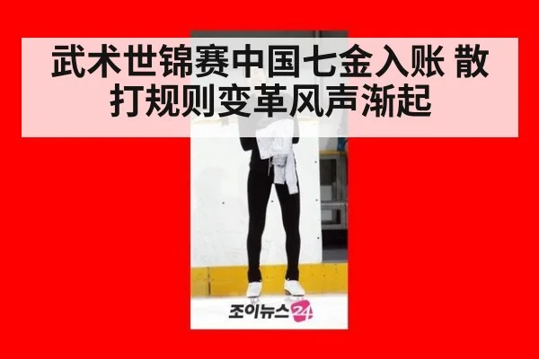 武术世锦赛中国七金入账 散打规则变革风声渐起